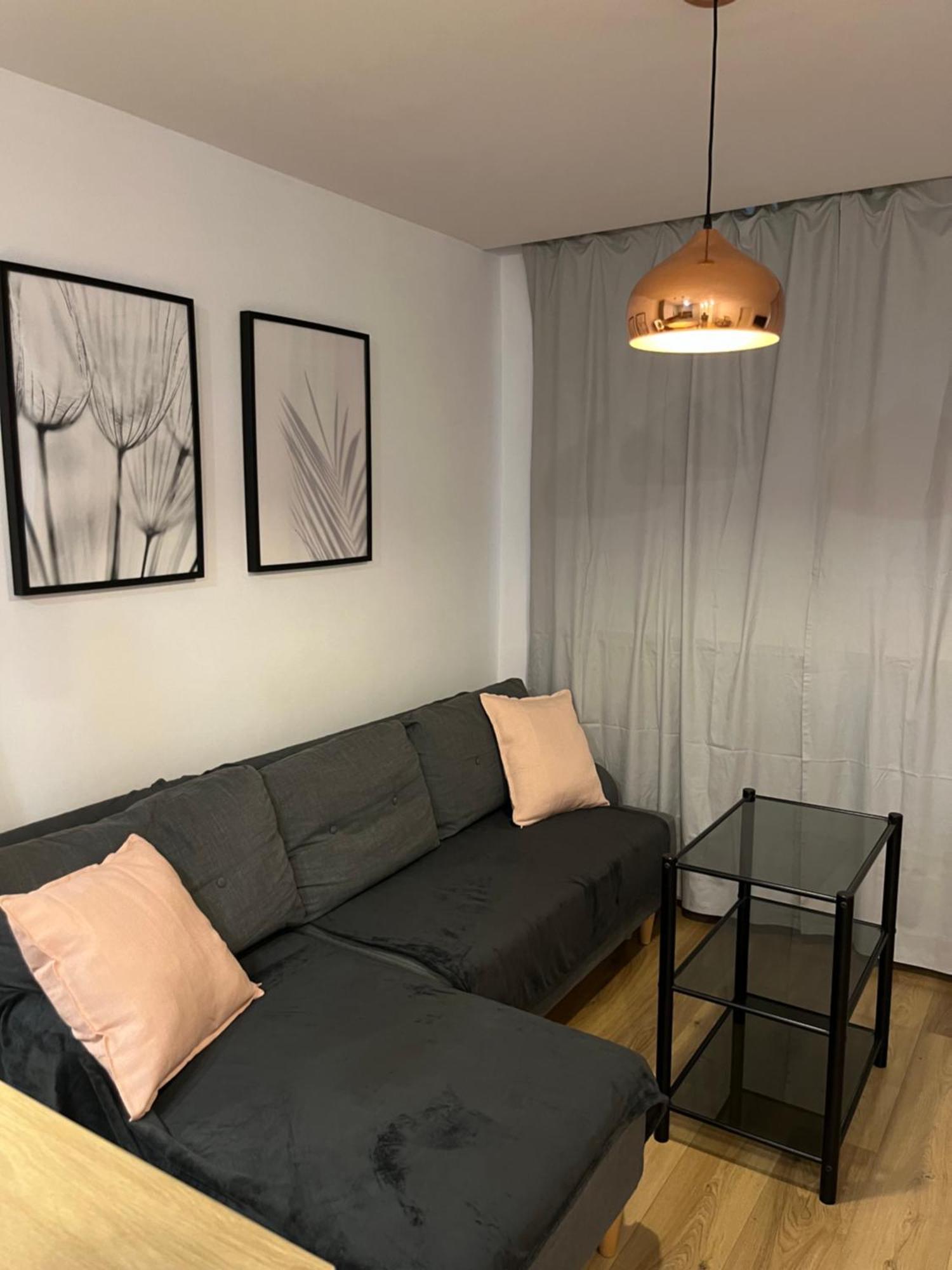 Apartament Przy Stadionie Slaskim I Parku Slaskim Tysiaclecie Katowice