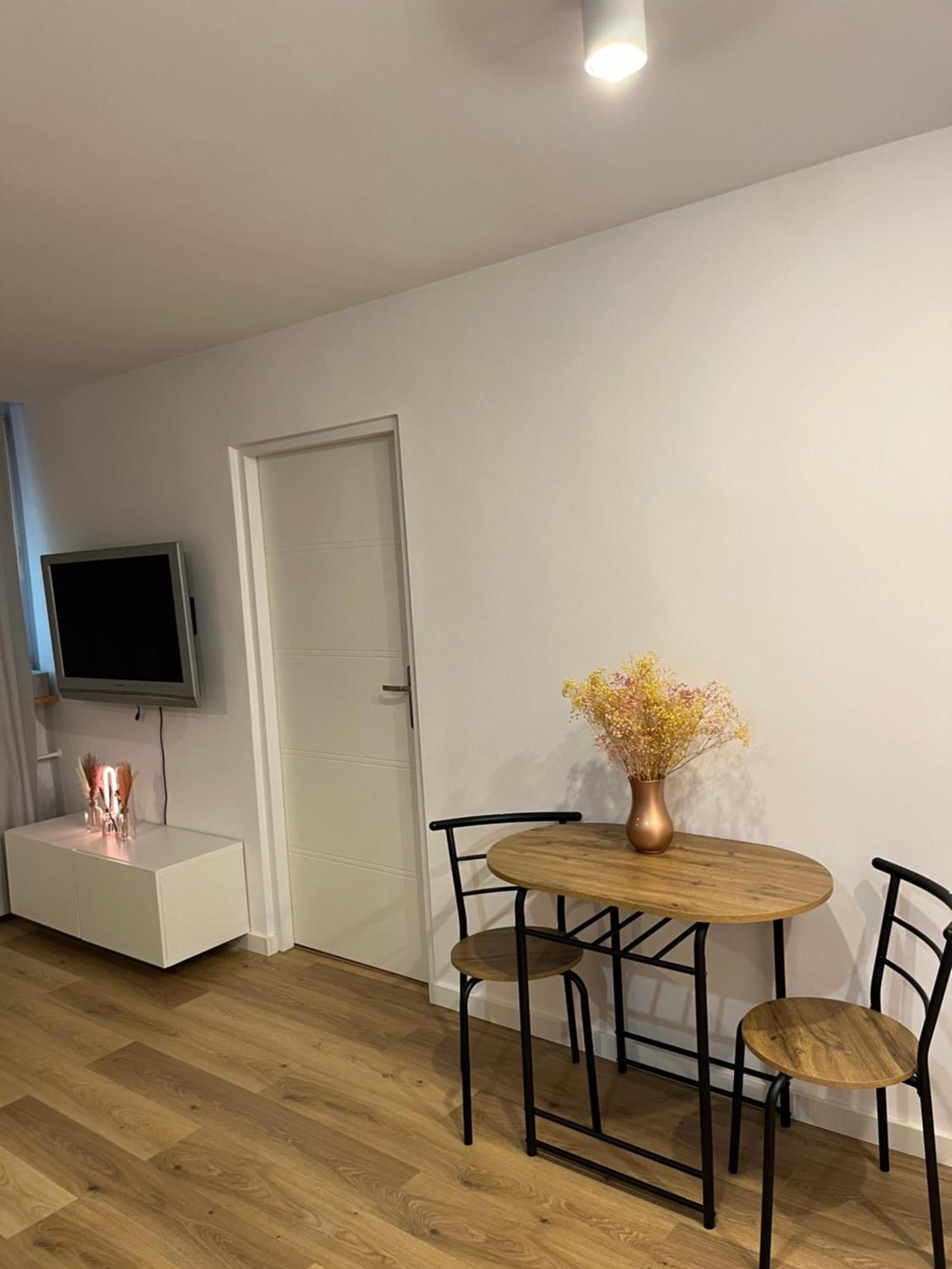 Przy Stadionie Slaskim I Parku Slaskim Tysiaclecie Apartament