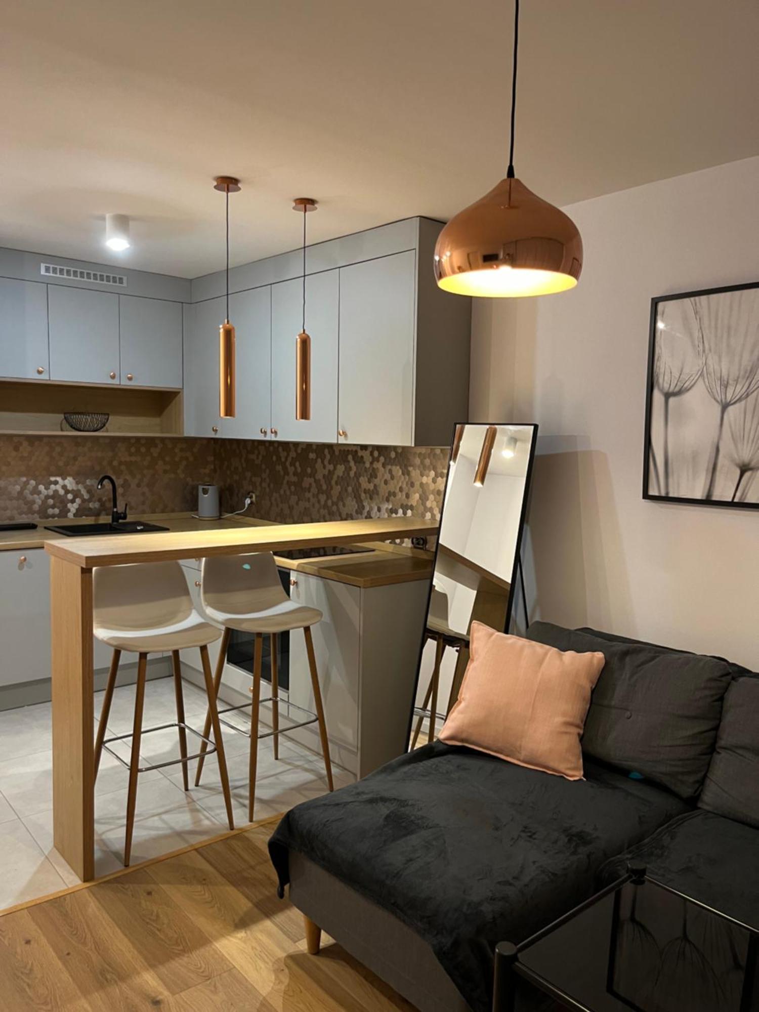 Apartament Przy Stadionie Slaskim I Parku Slaskim Tysiaclecie *