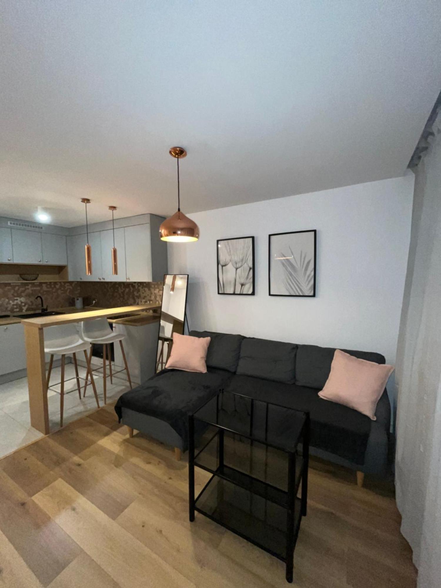 Apartament Przy Stadionie Slaskim I Parku Slaskim Tysiaclecie *