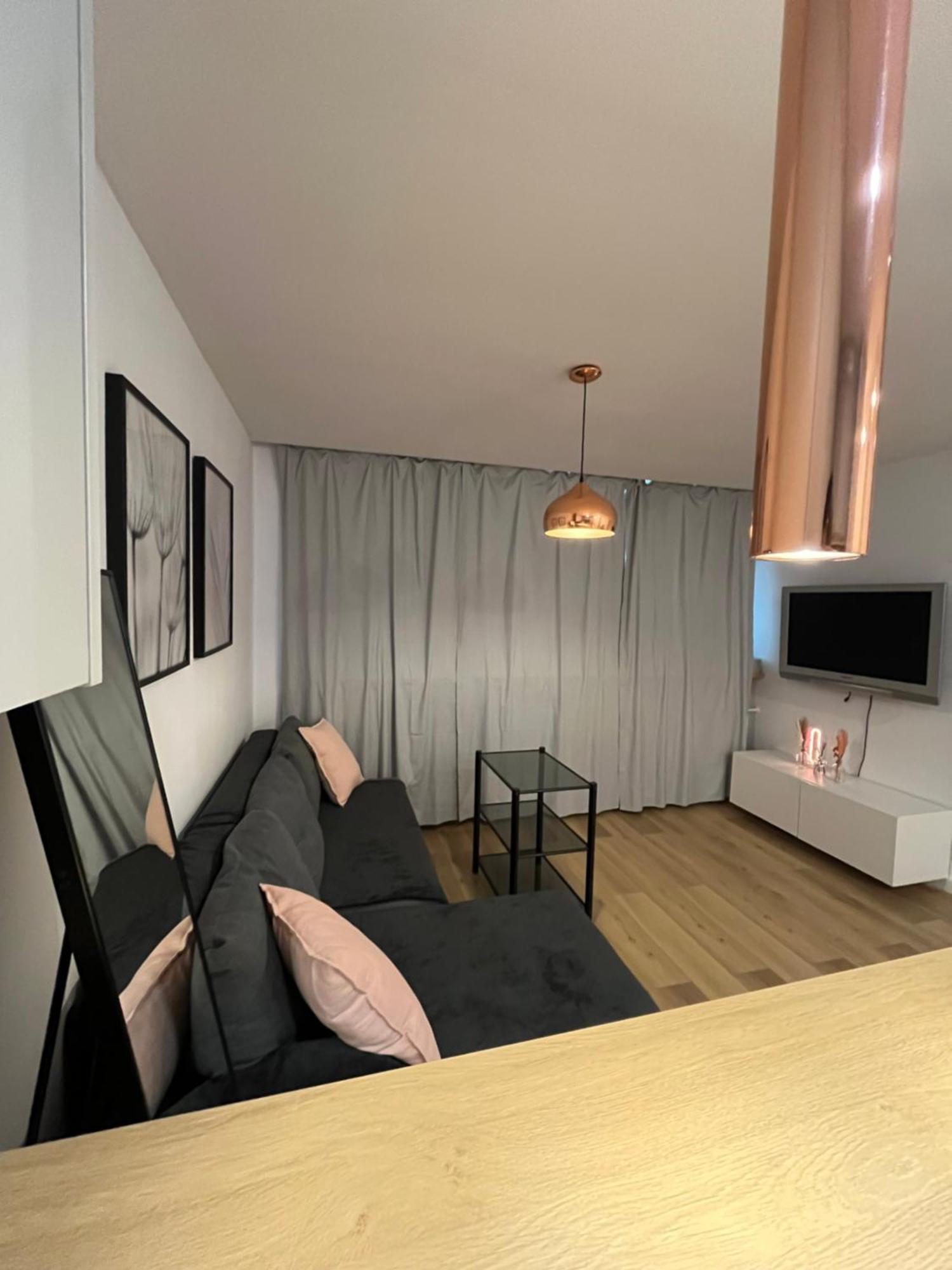 Apartament Przy Stadionie Slaskim I Parku Slaskim Tysiaclecie *